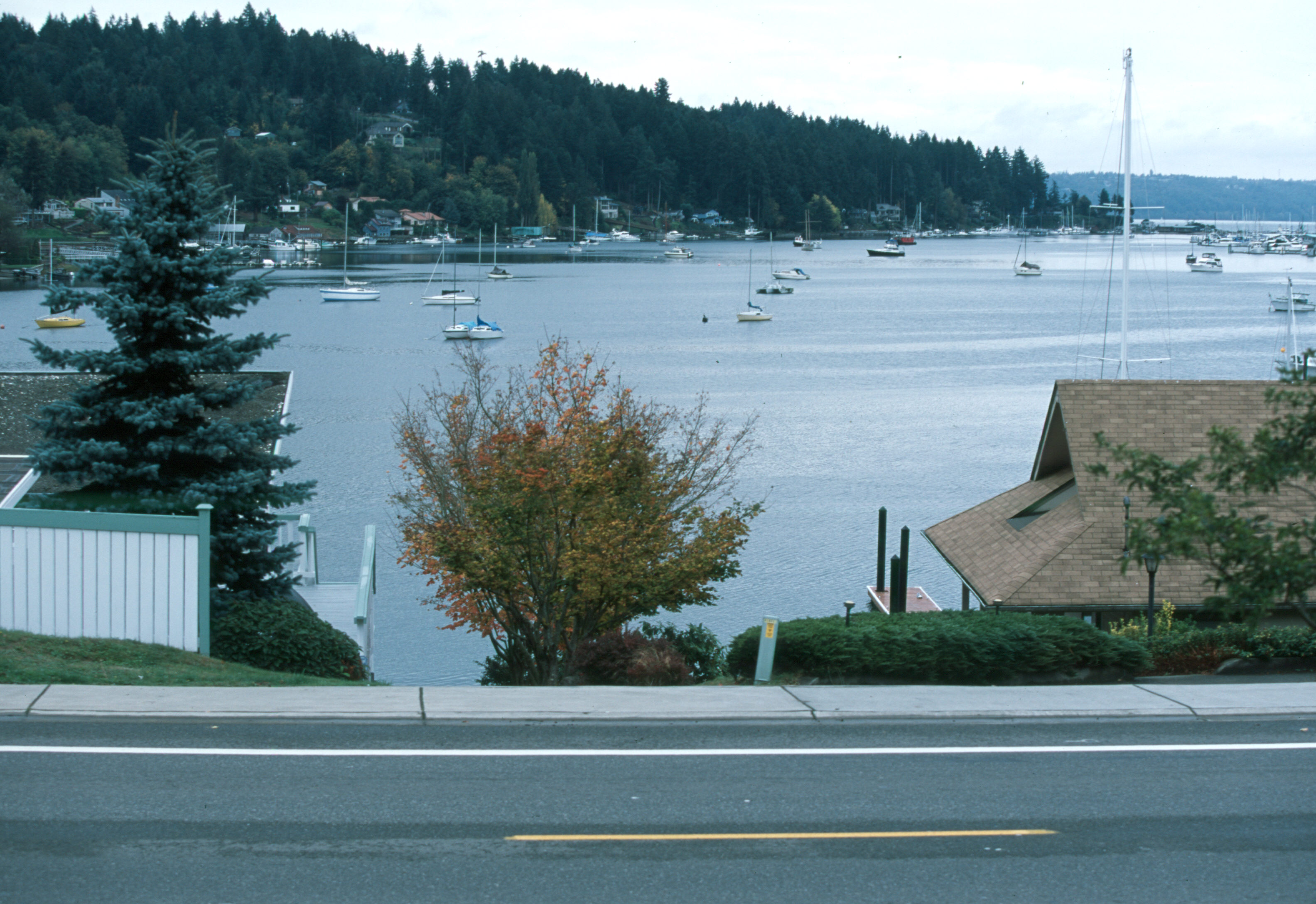 harbor