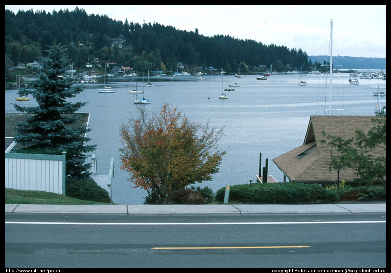 harbor