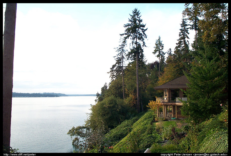 view from Lindsay's porch