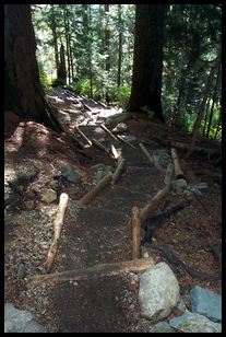 steps near the beginning of the Alpental trail to Snow Lake