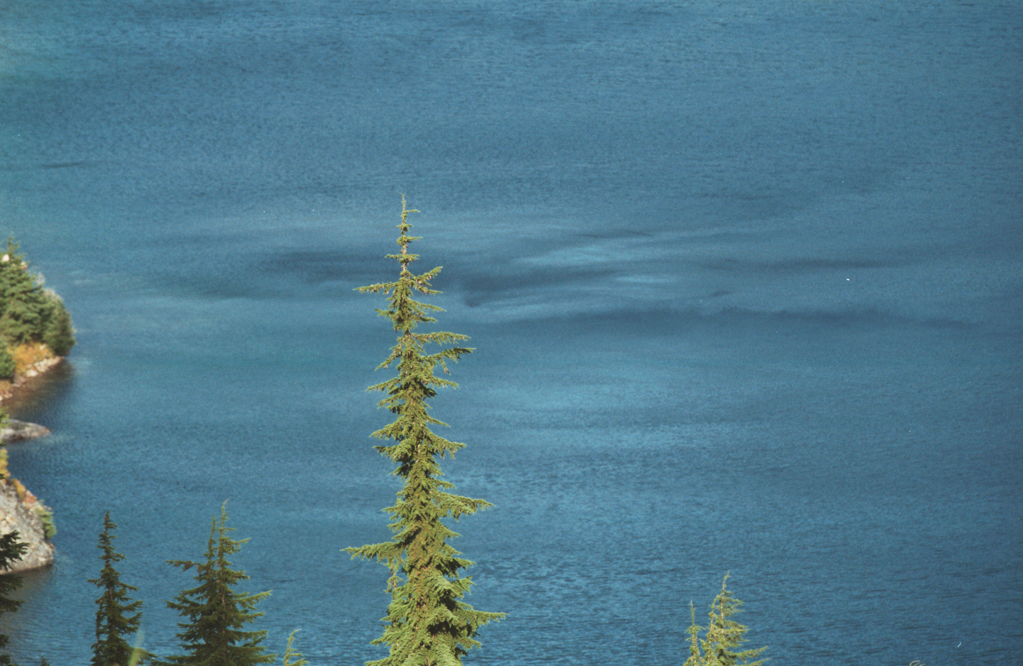 wind on water