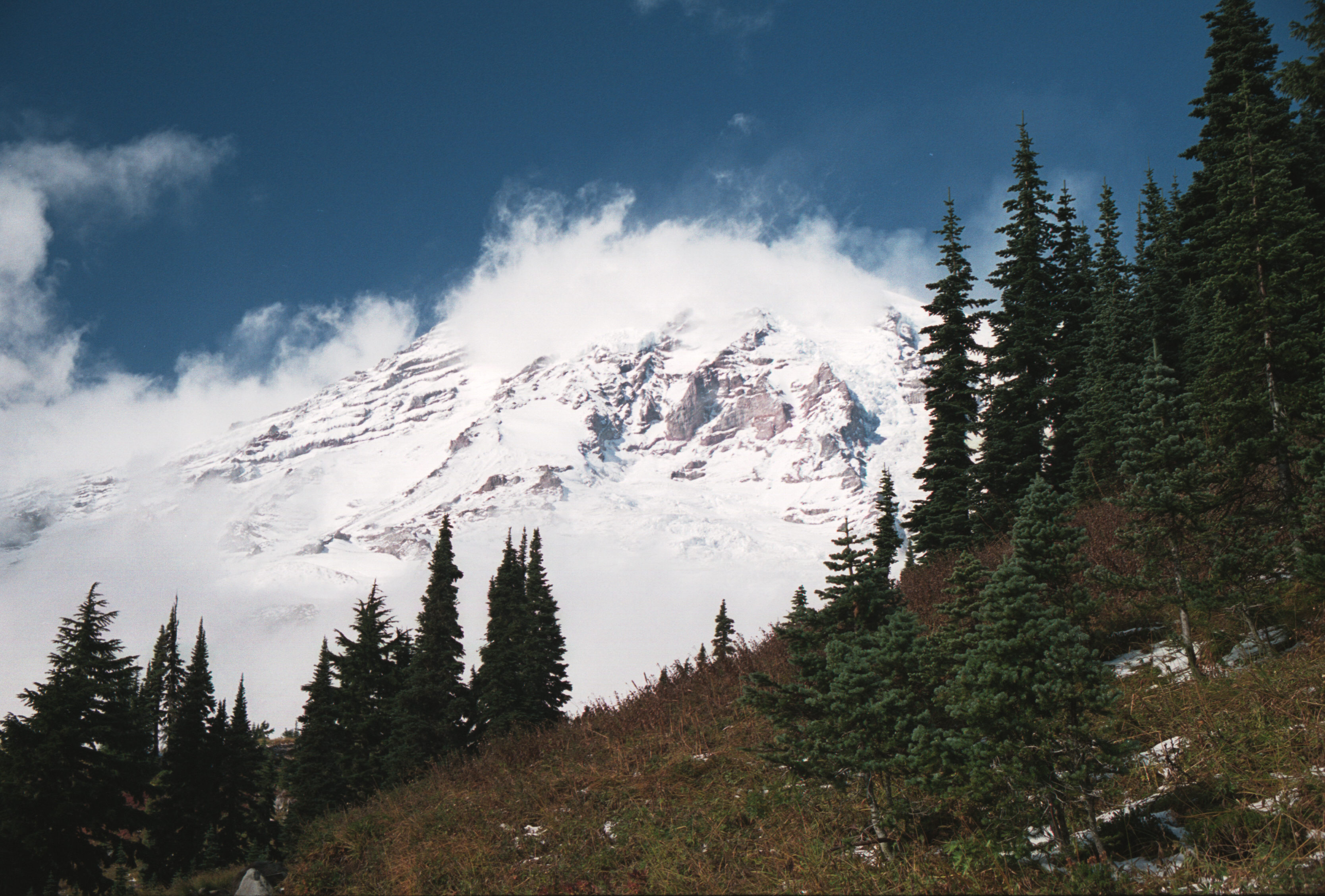 Mount Rainier