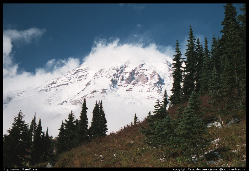 Mount Rainier