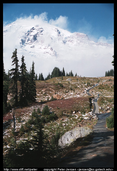 Mount Rainier