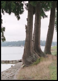 low tide