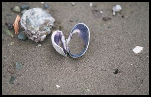 low tide