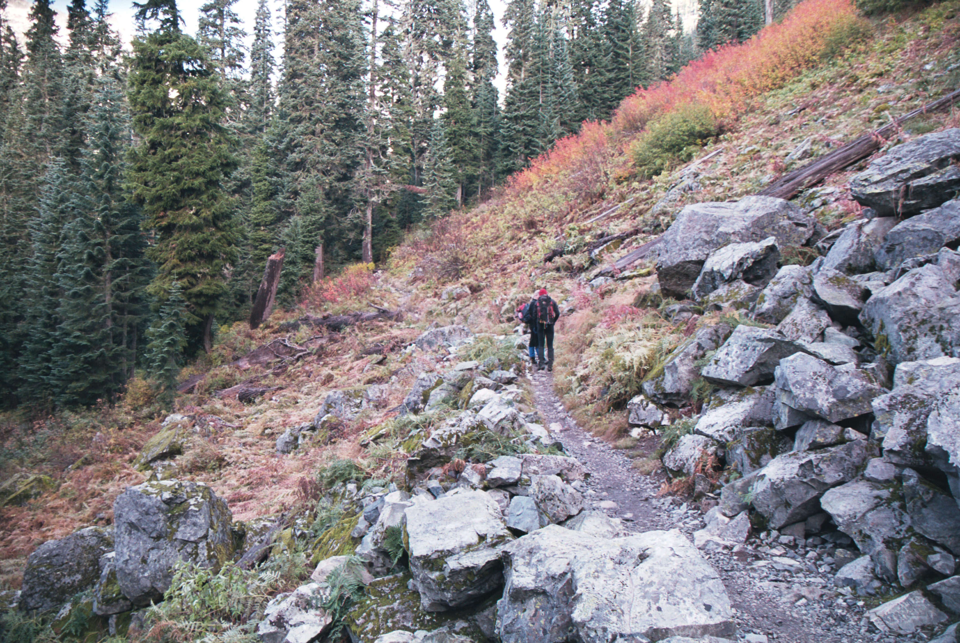 hikers