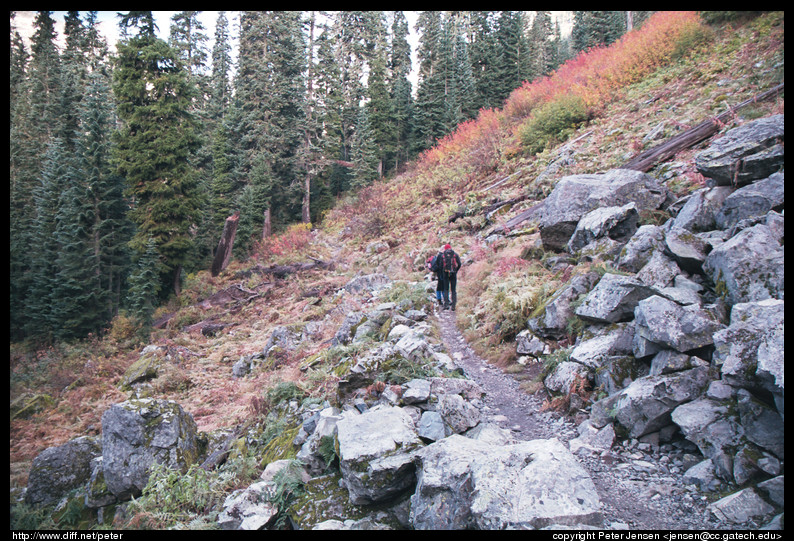 hikers