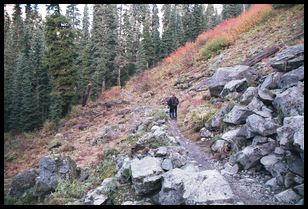 hikers