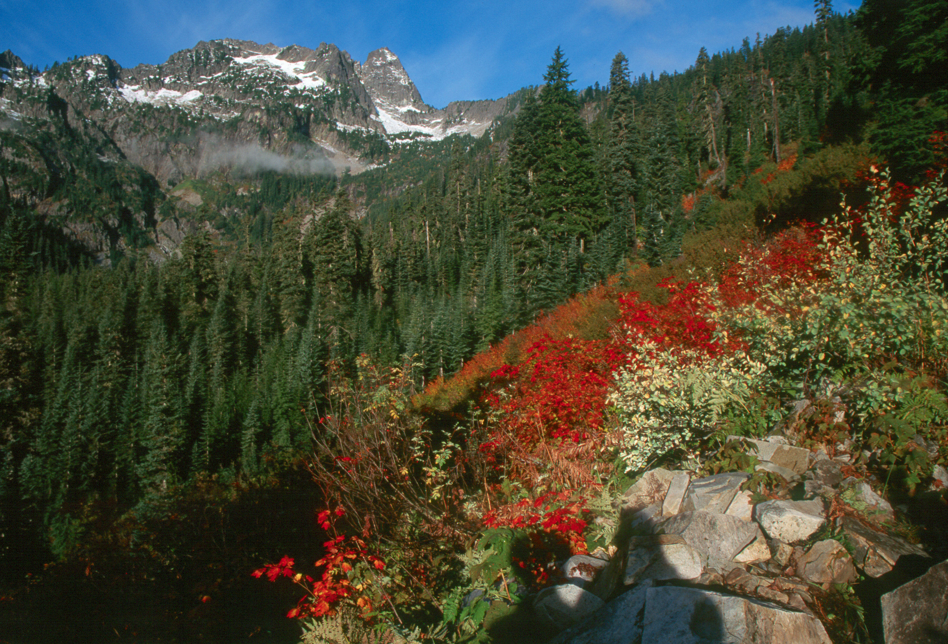 Alpental trail to Snow Lake