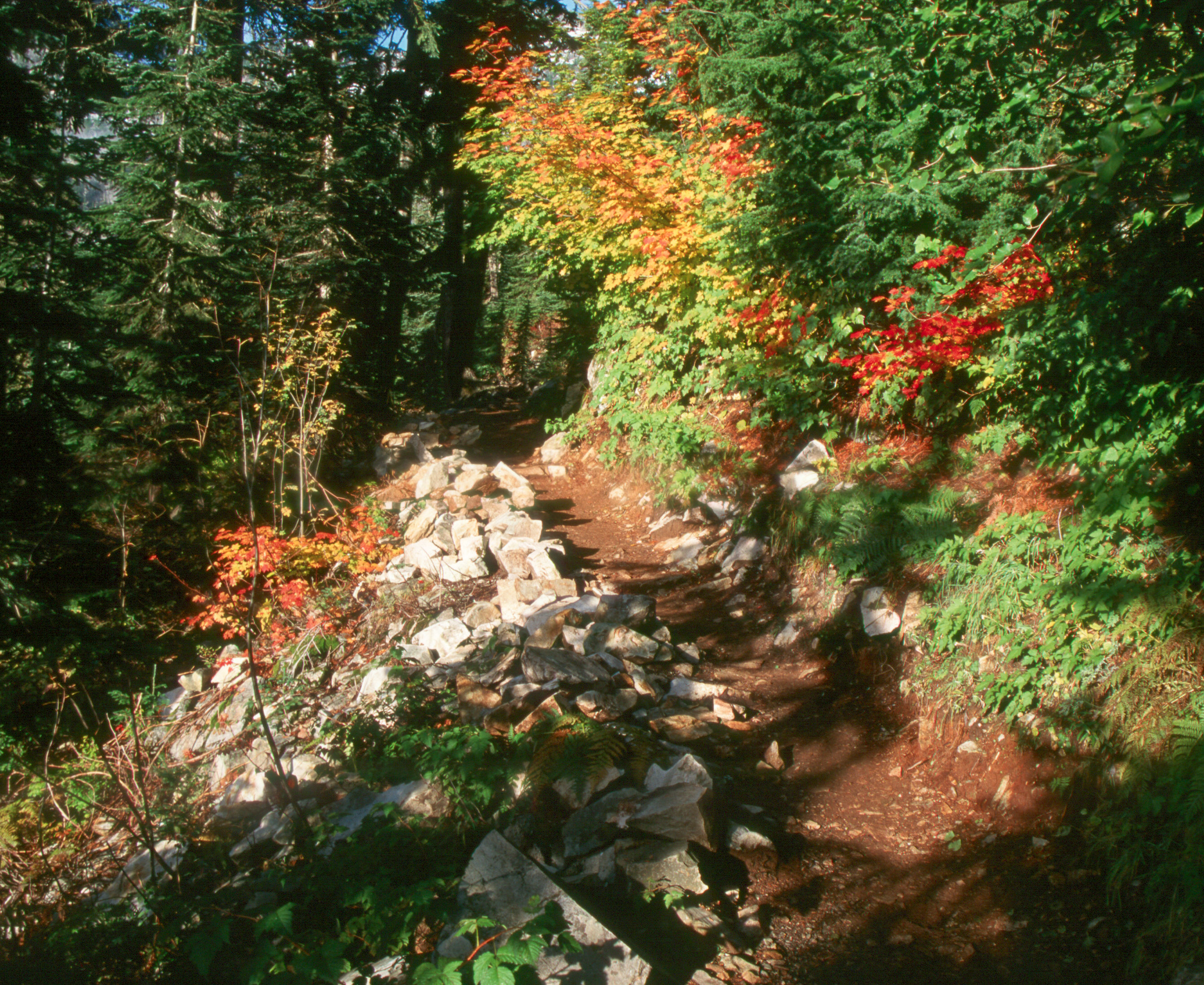 Alpental trail to Snow Lake