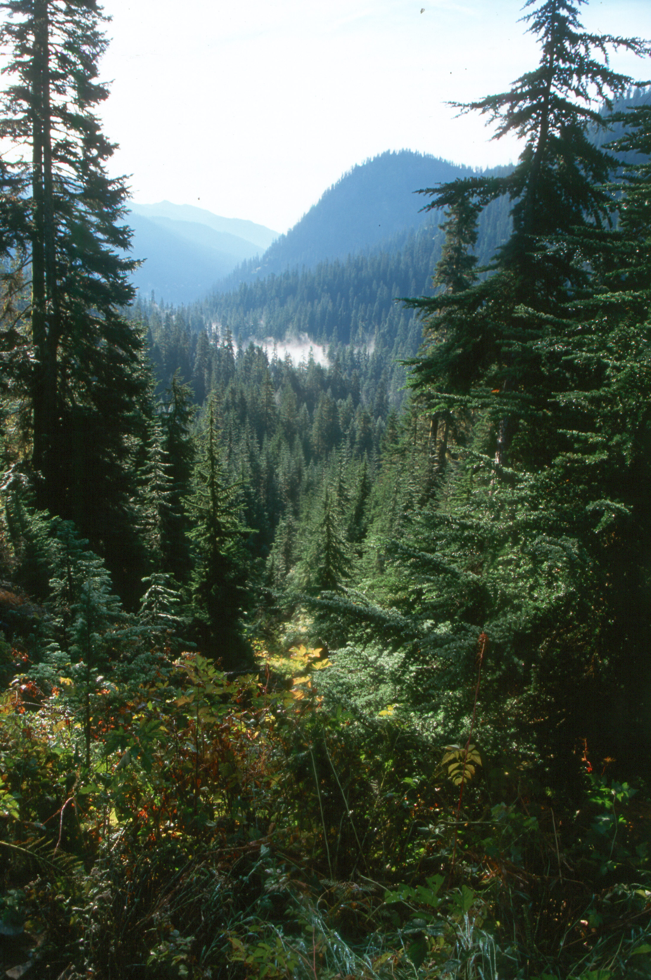 Snow Lake Alptental Valley