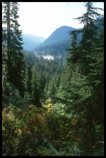 Snow Lake Alptental Valley