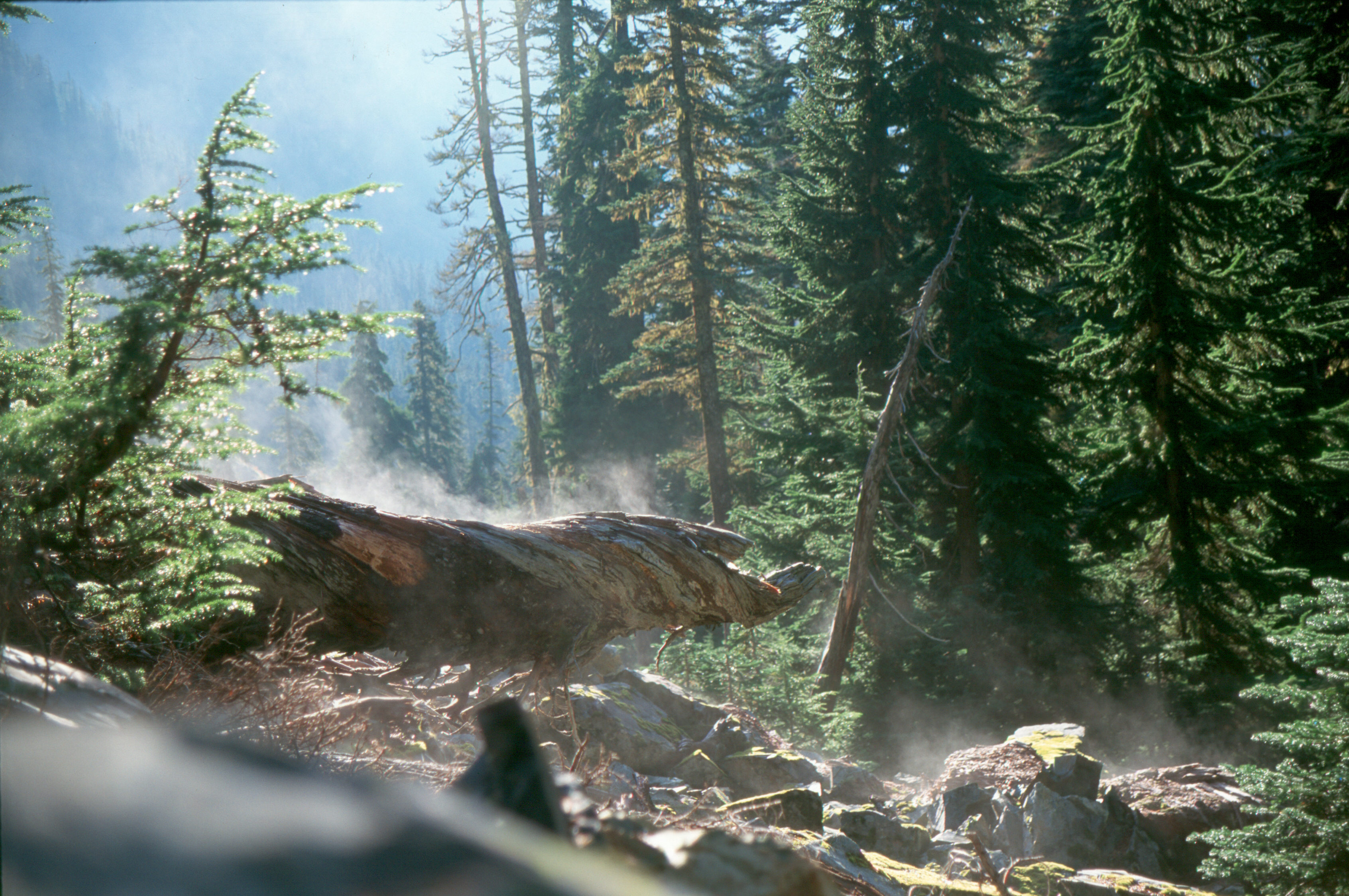 Snow Lake steaming log