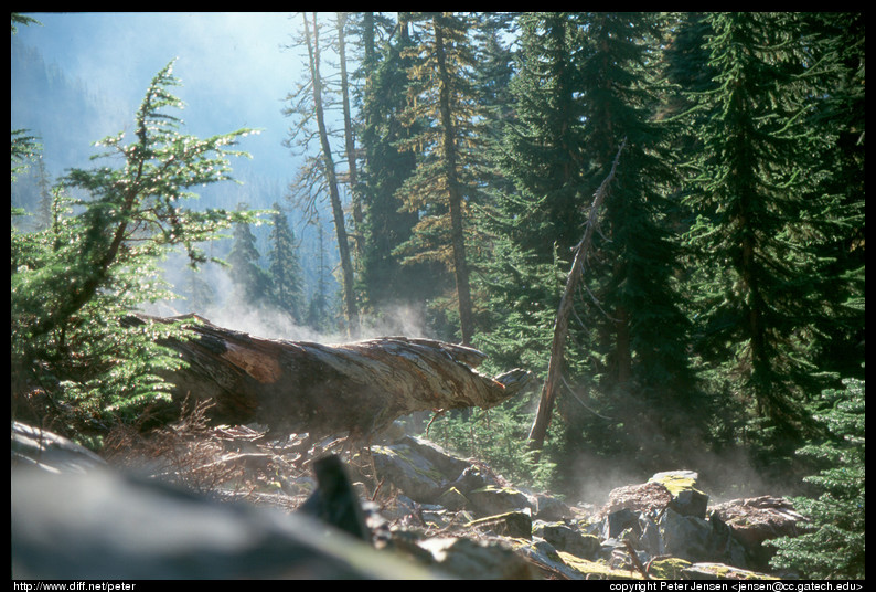 Snow Lake steaming log