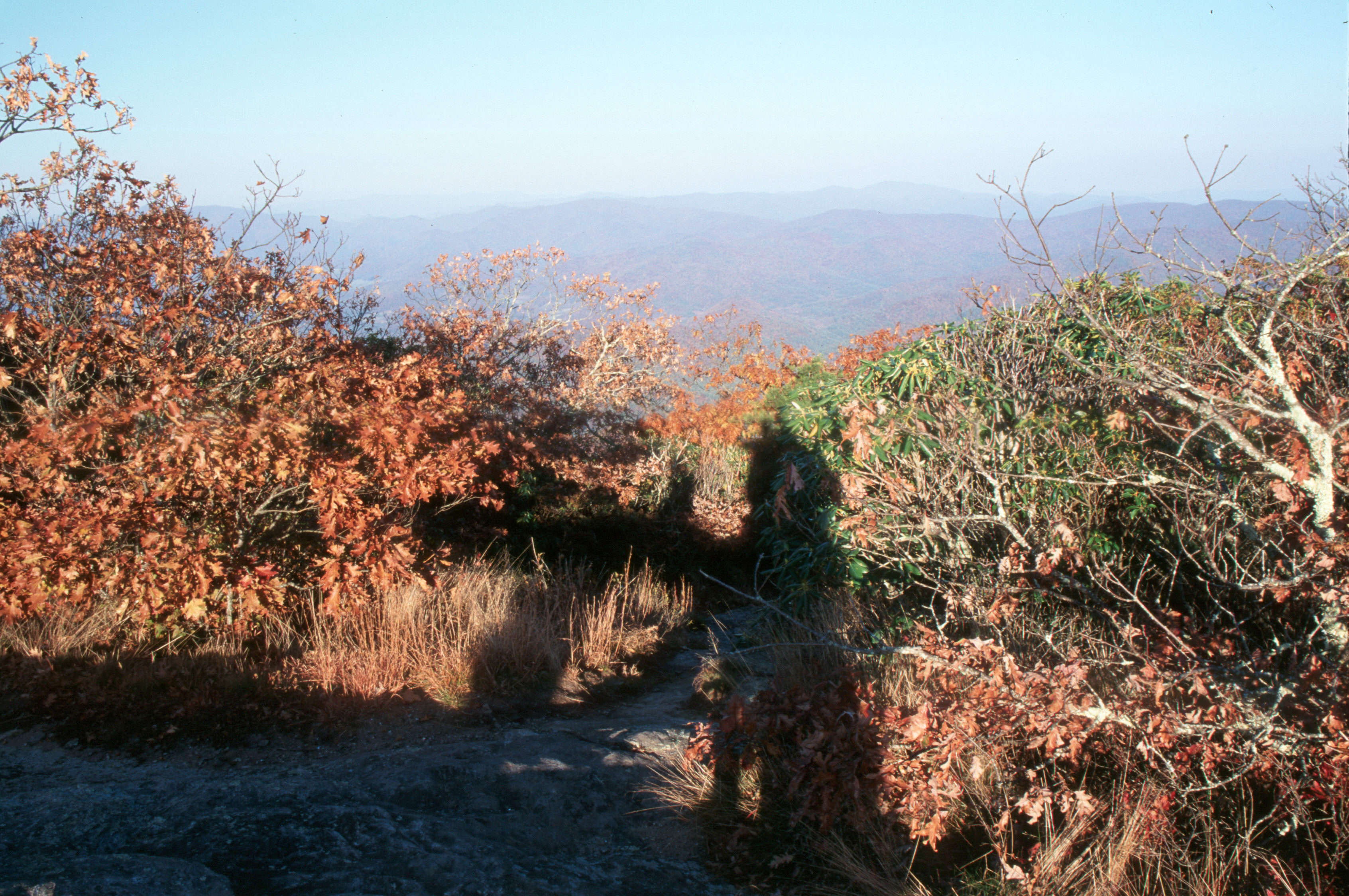Blood Mountain view
