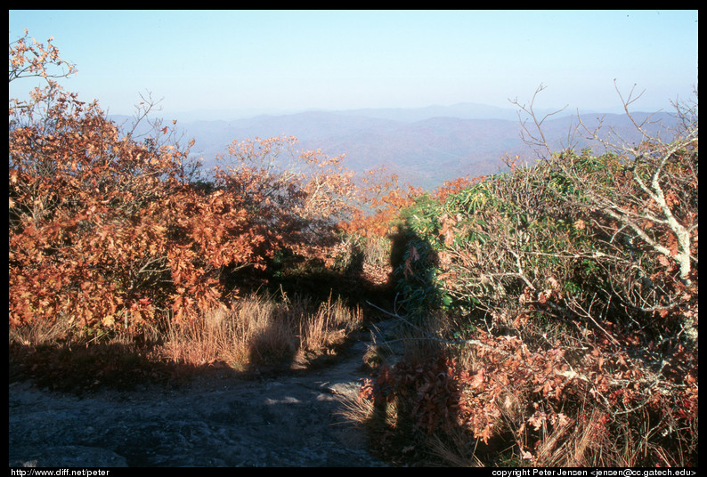 Blood Mountain view