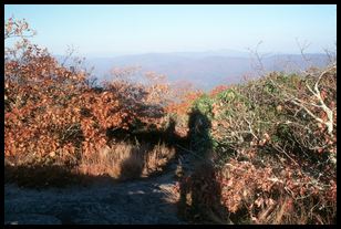 Blood Mountain view