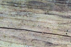 log with macro