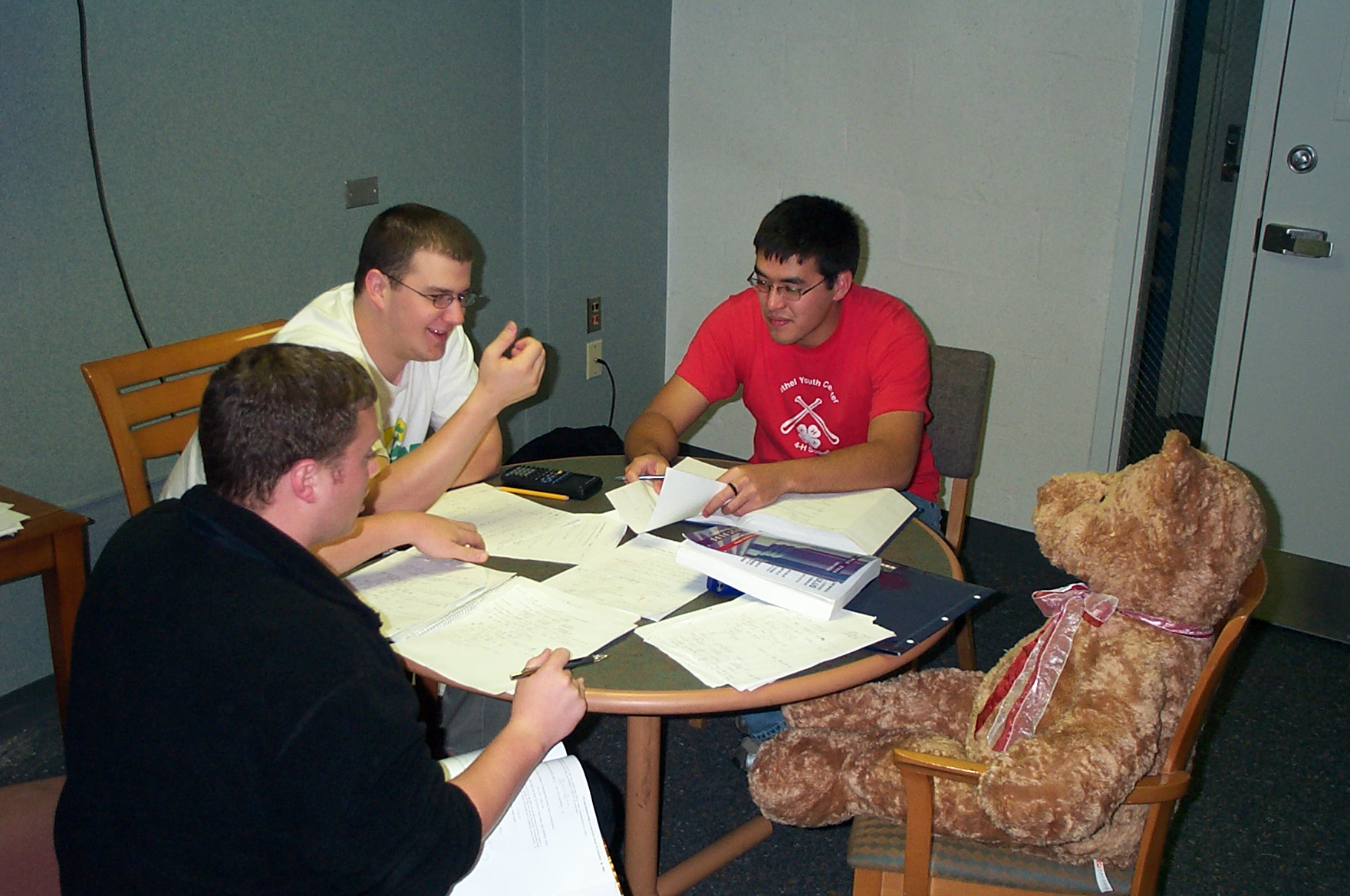 the study bear