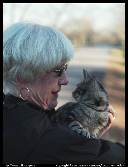 mom and kitten