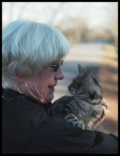 mom and kitten