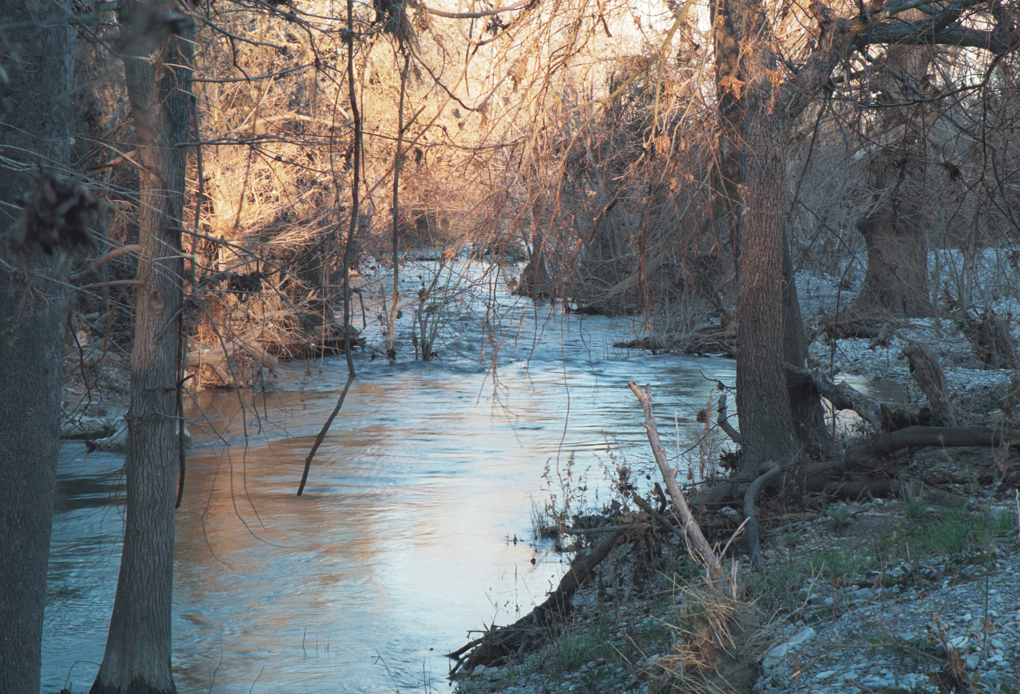 onion creek