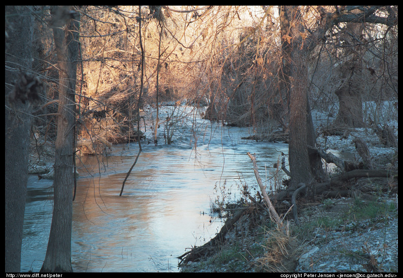 onion creek