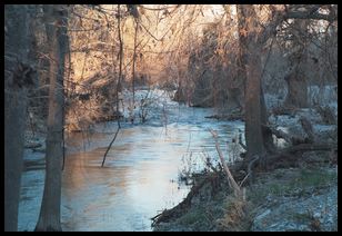 onion creek