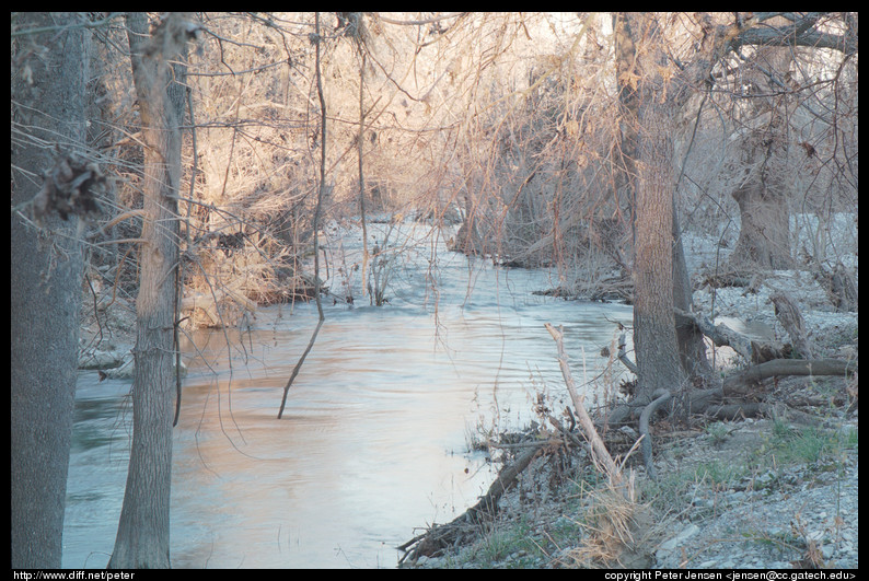 onion creek