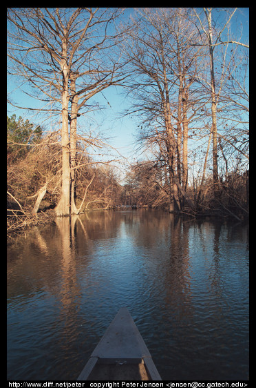 Onion Creek and canoe