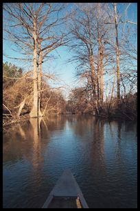 Onion Creek and canoe