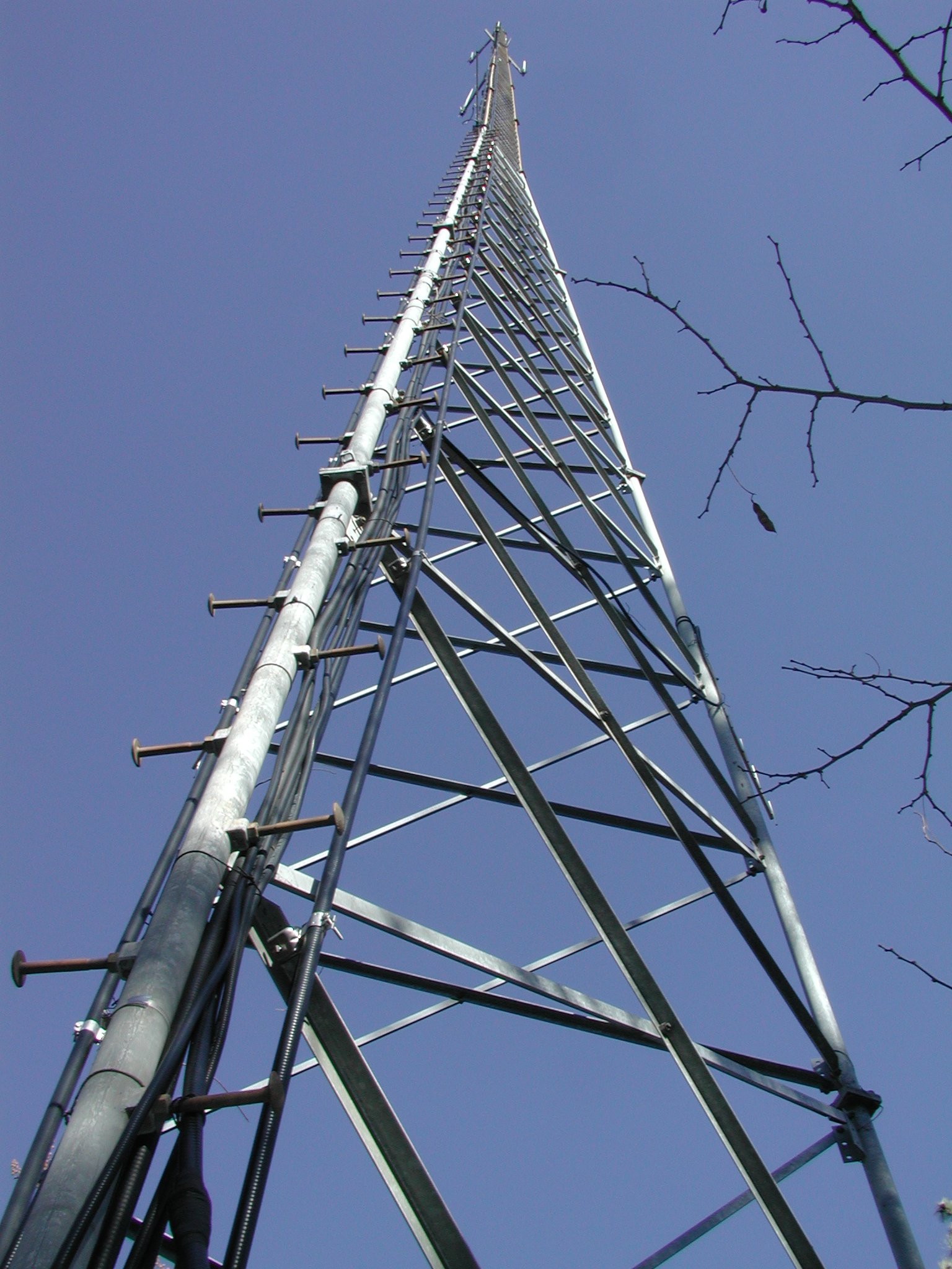p1151088