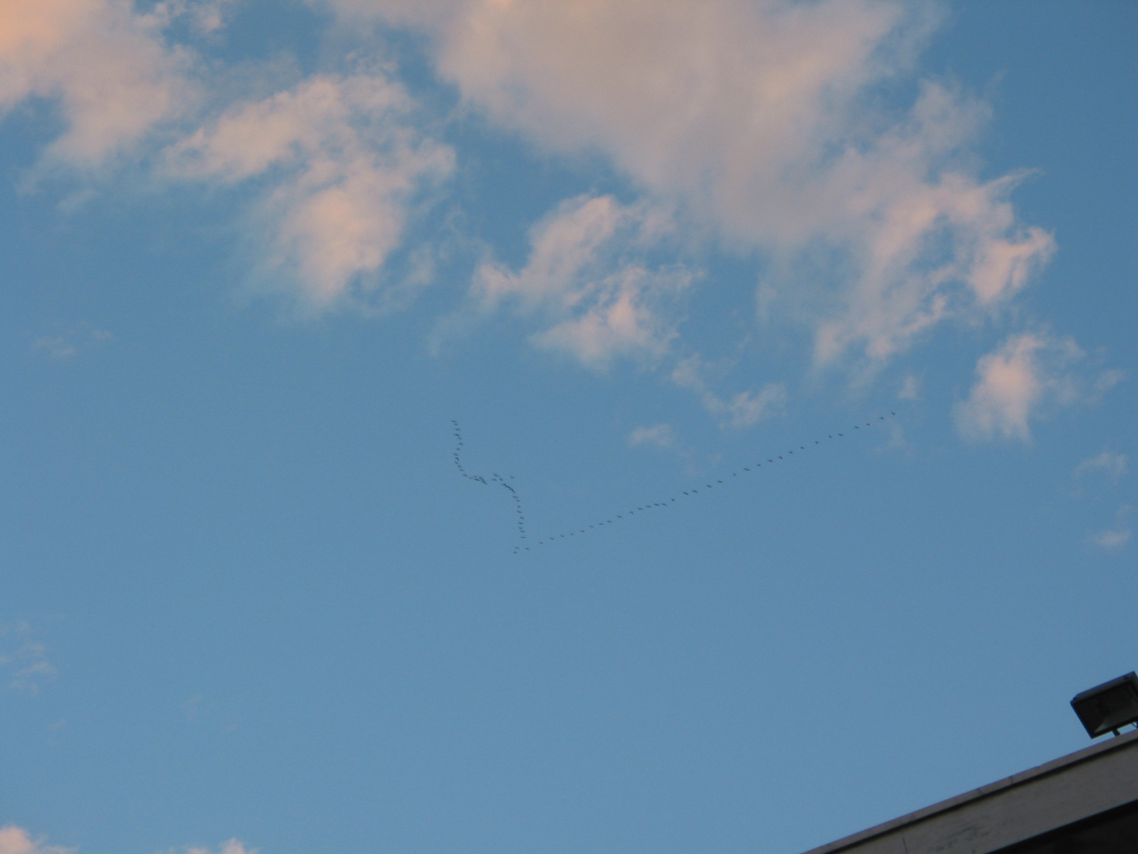 102-0293 img