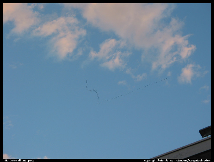 102-0293 img