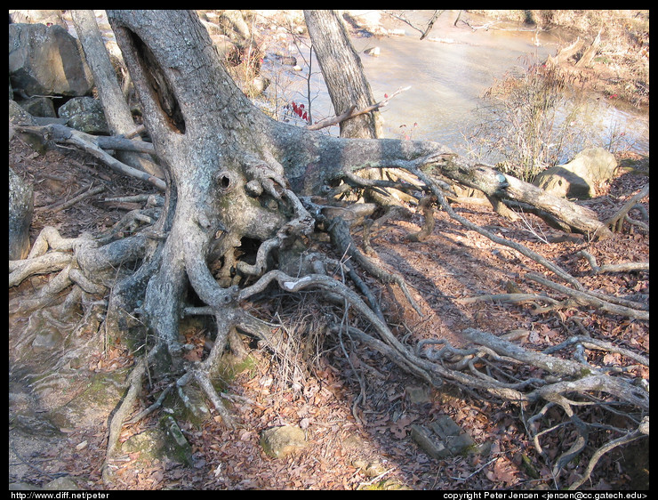 104-0426 img