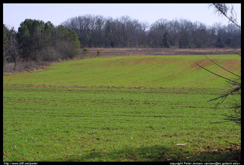 125-2593 img