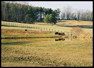 rural scene