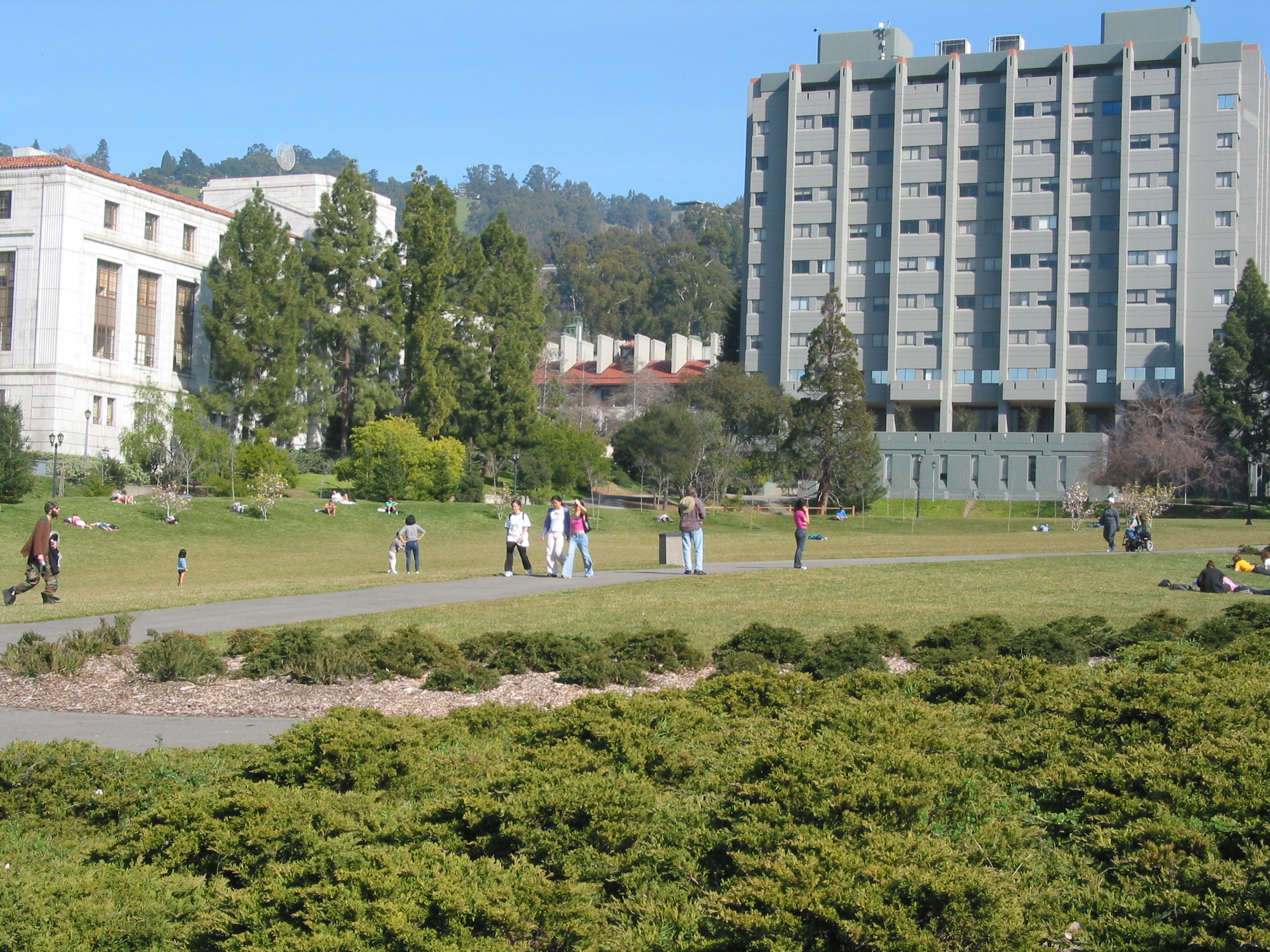 people playing