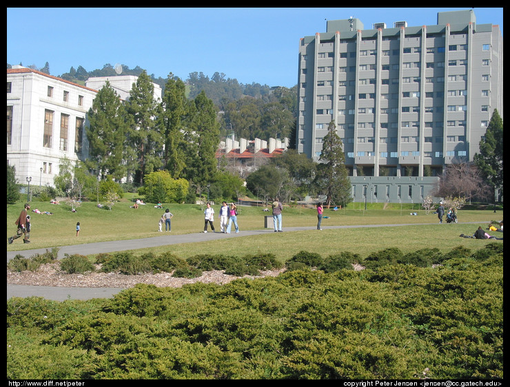 people playing