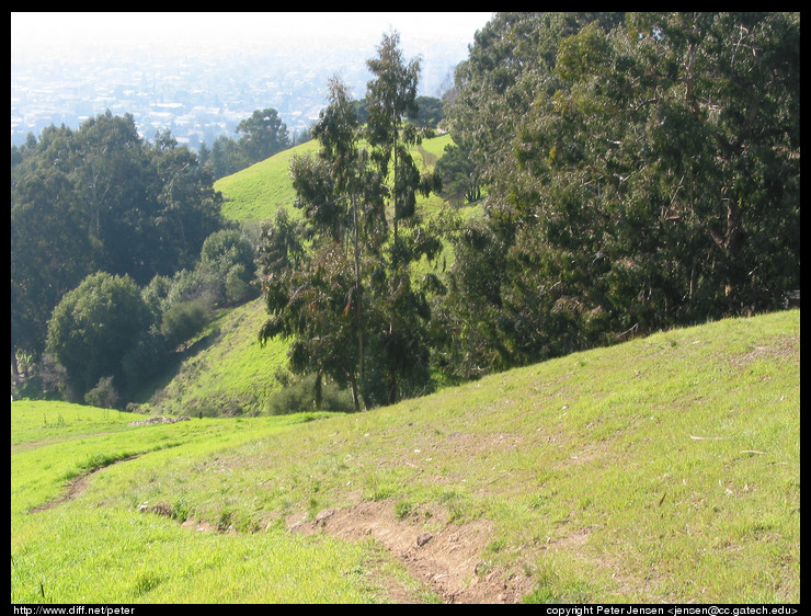 trail up to Lawrence hall of science