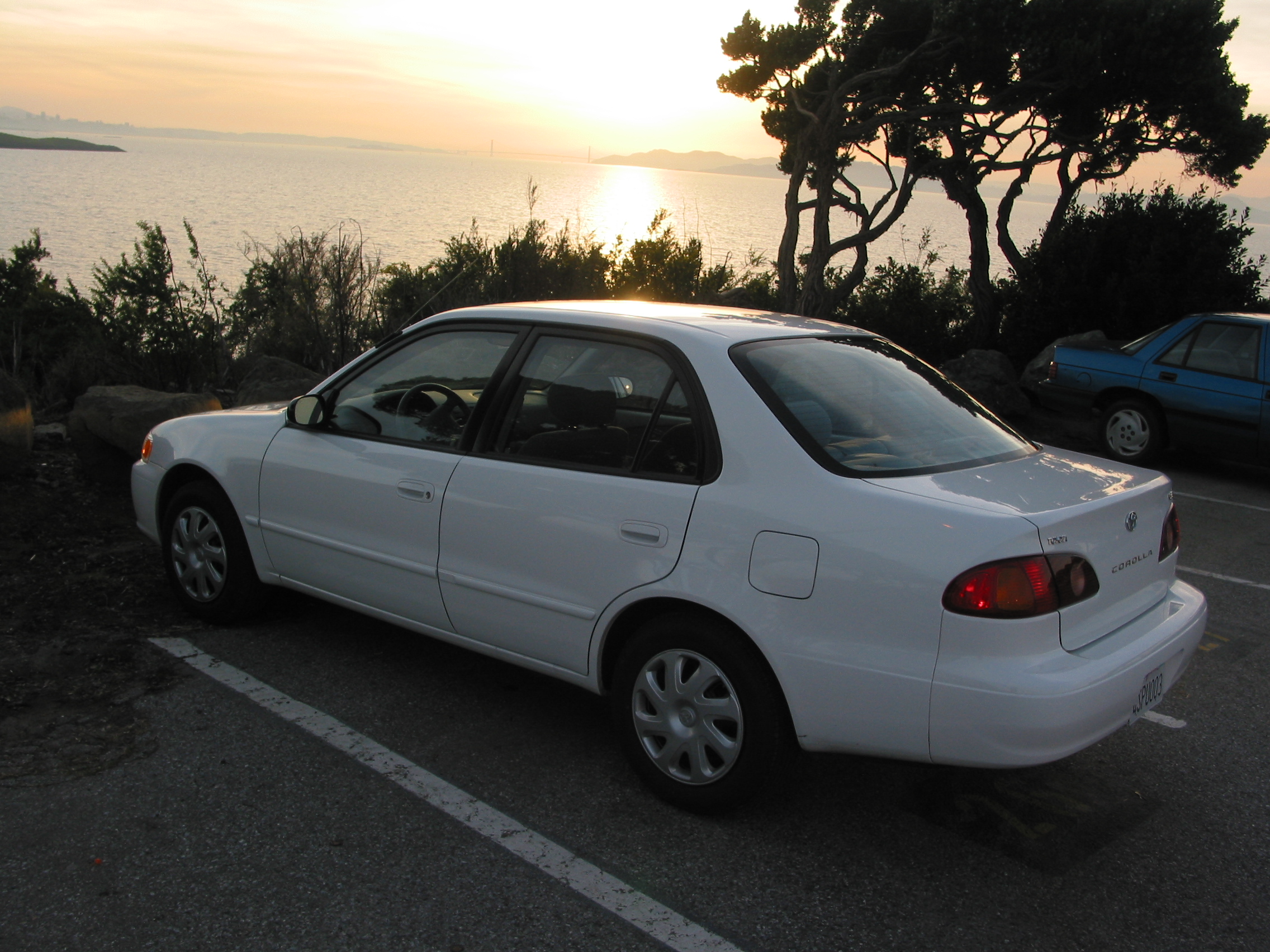 rental car