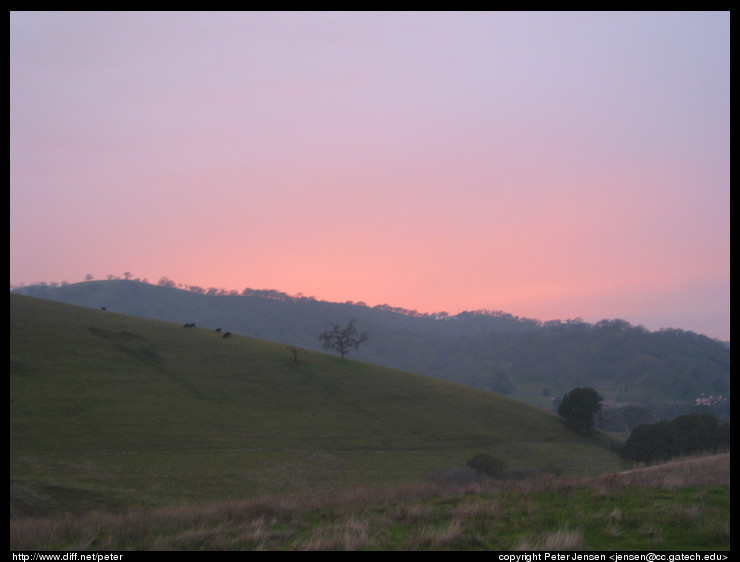 sunset