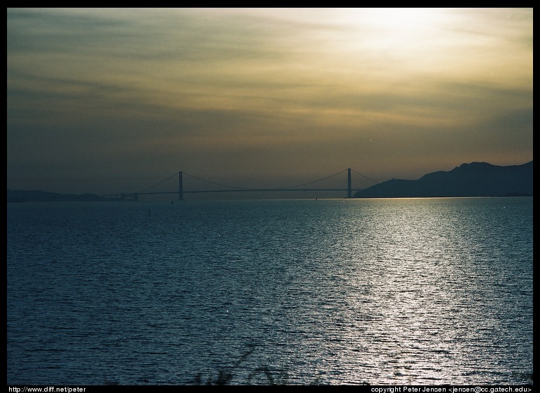 Golden Gate from the horse tracks