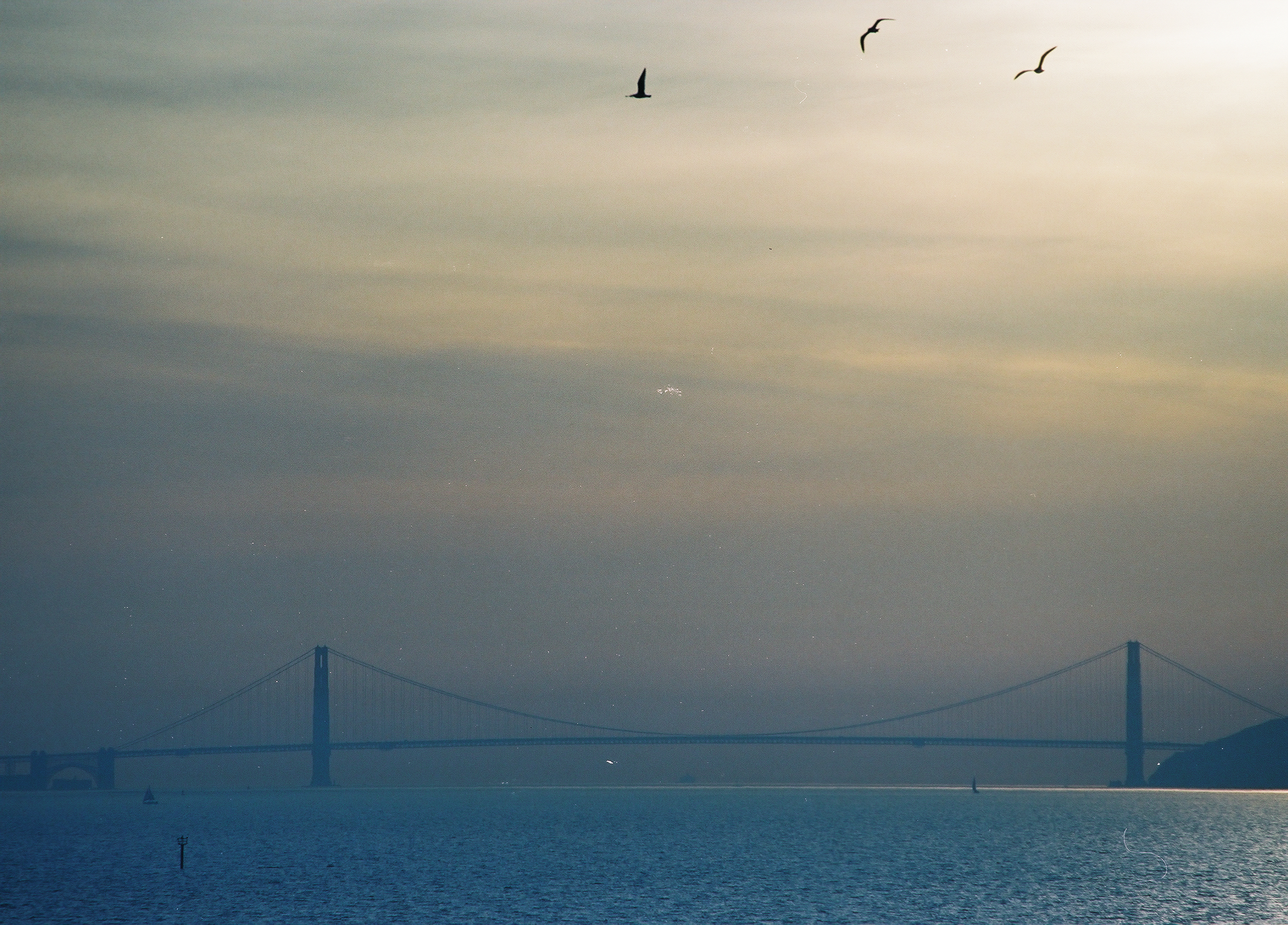 Golden Gate from the horse tracks