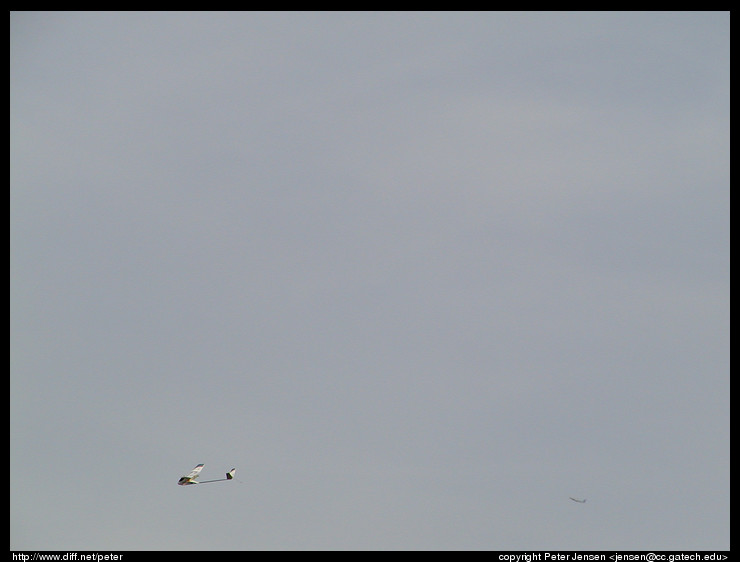 24 2002 RC Airplane with Peter 005