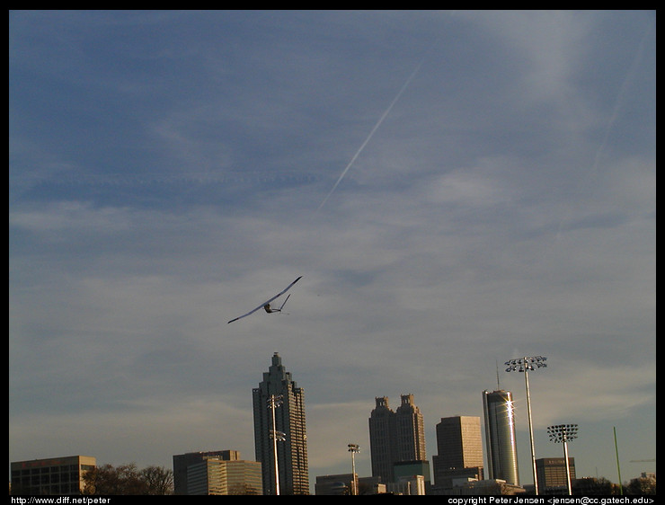 Firebird XL and Atlanta