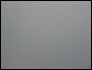 img 3350