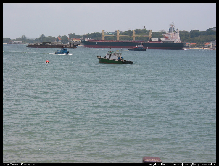 the harbor