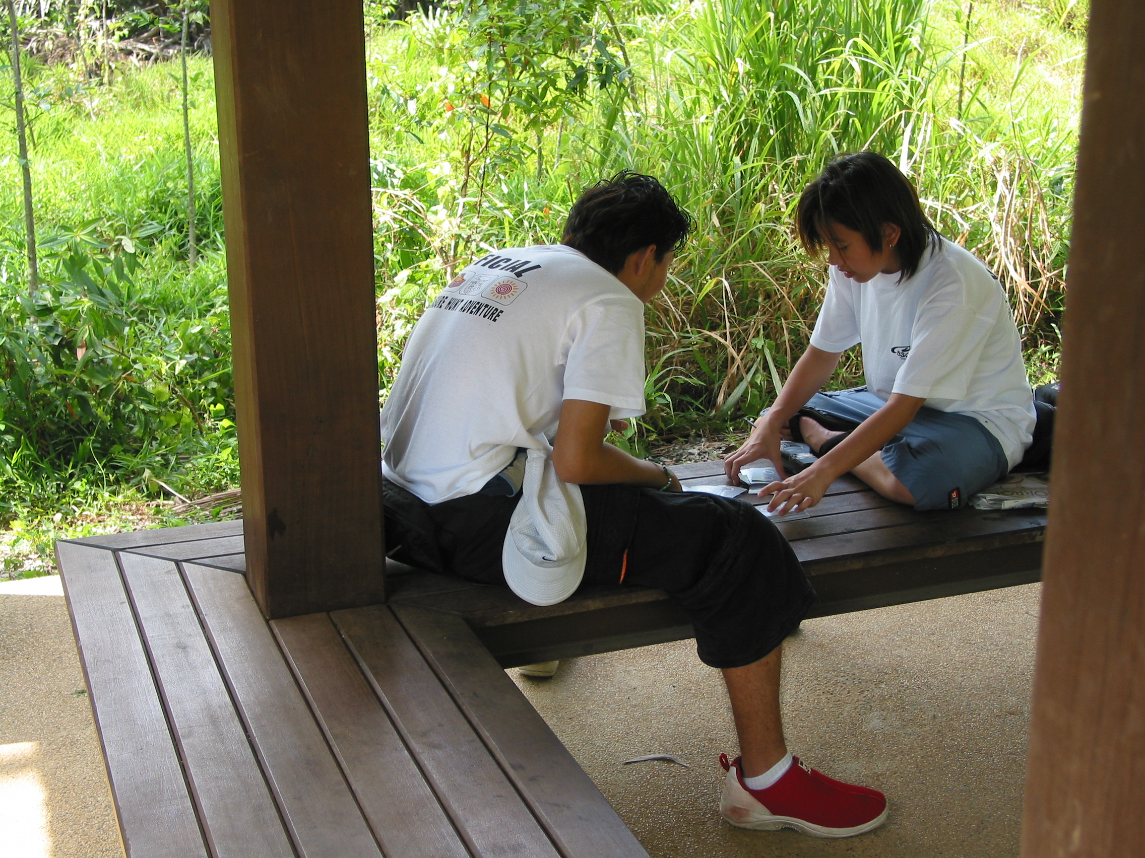 camp counselors playing cards